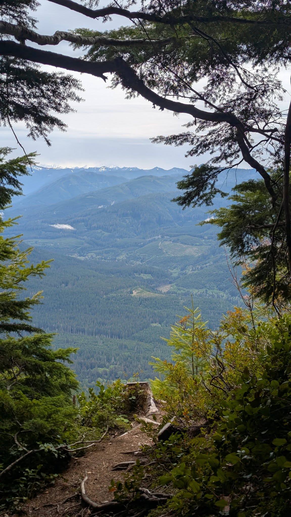 Mount Muller, Olympic National Forest, the Gospel.